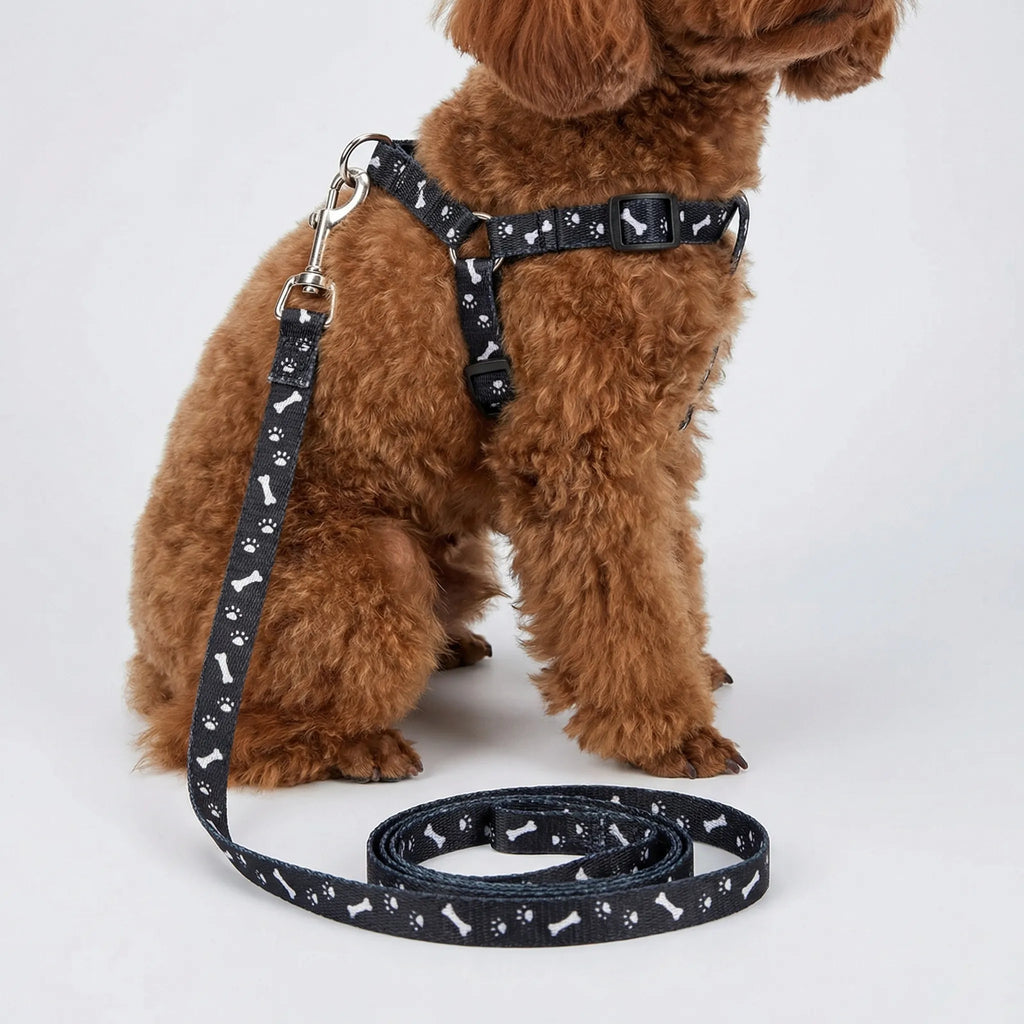 PetEase Lightweight Harness & Lead Set for Small Dogs & Kittens