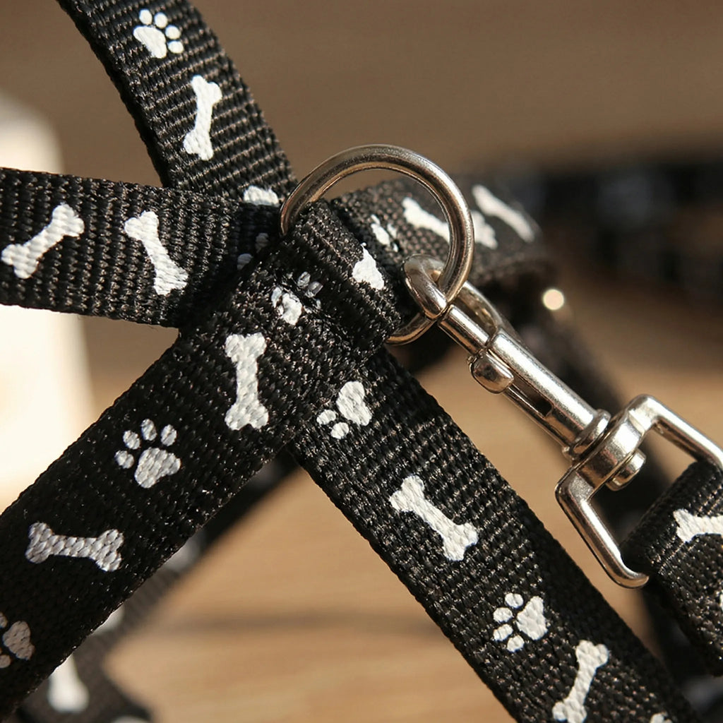 PetEase Lightweight Harness & Lead Set for Small Dogs & Kittens