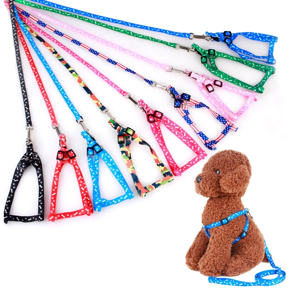 PetEase Lightweight Harness & Lead Set for Small Dogs & Kittens