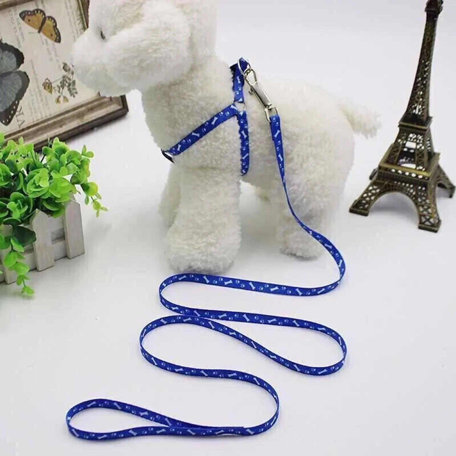 PetEase Lightweight Harness & Lead Set for Small Dogs & Kittens