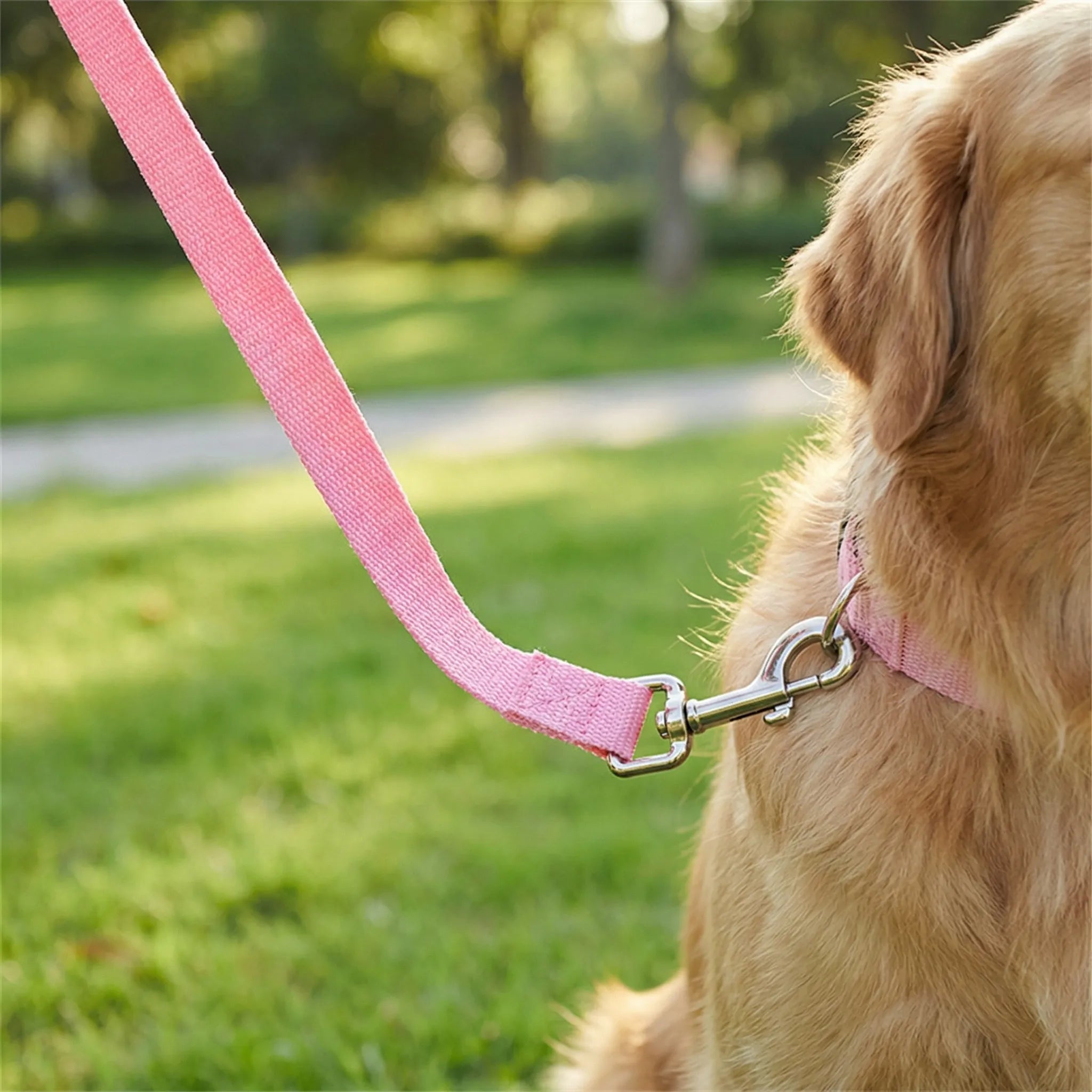 TrainPro Long Dog Training Lead with Adjustable Length Options