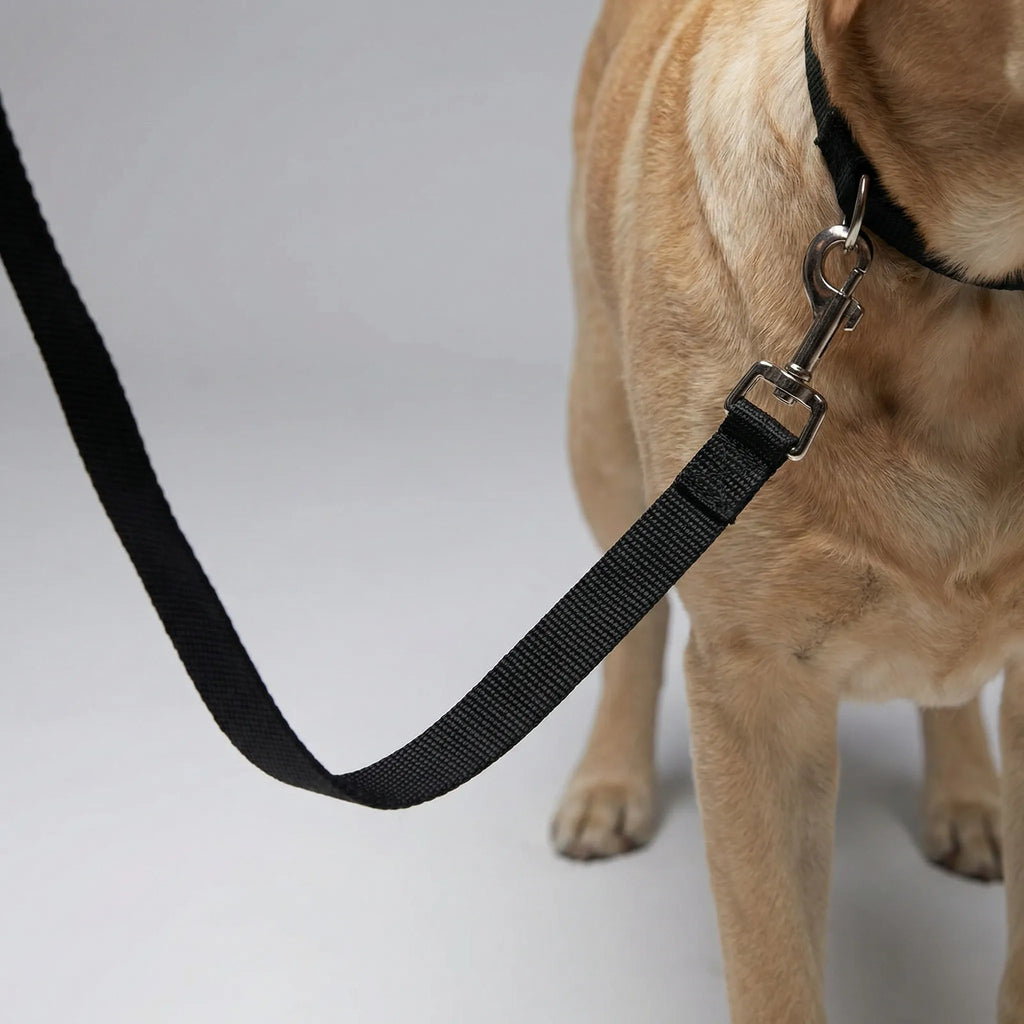 TrainPro Long Dog Training Lead with Adjustable Length Options