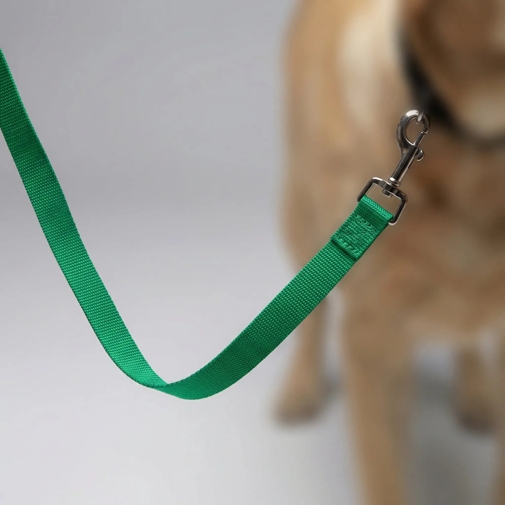 TrainPro Long Dog Training Lead with Adjustable Length Options