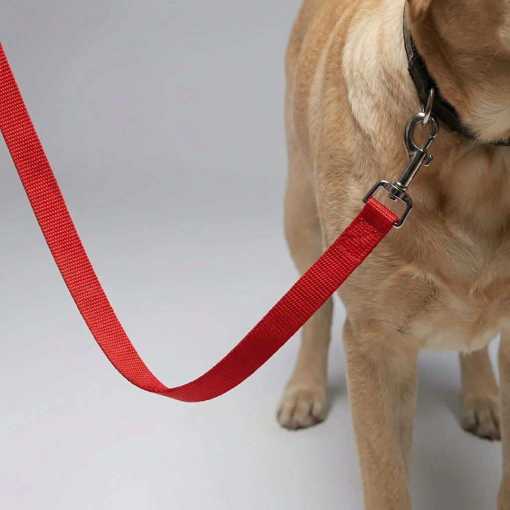 TrainPro Long Dog Training Lead with Adjustable Length Options