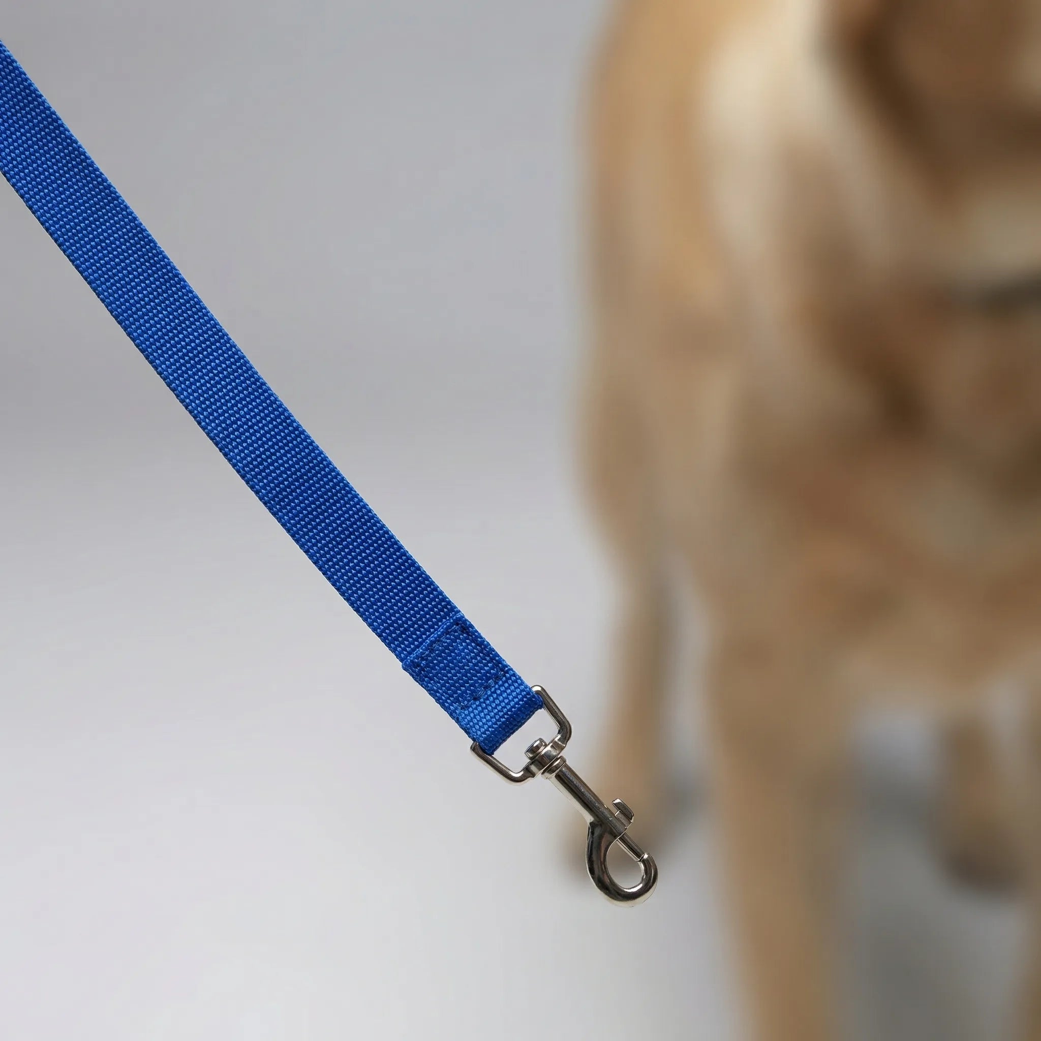 TrainPro Long Dog Training Lead with Adjustable Length Options