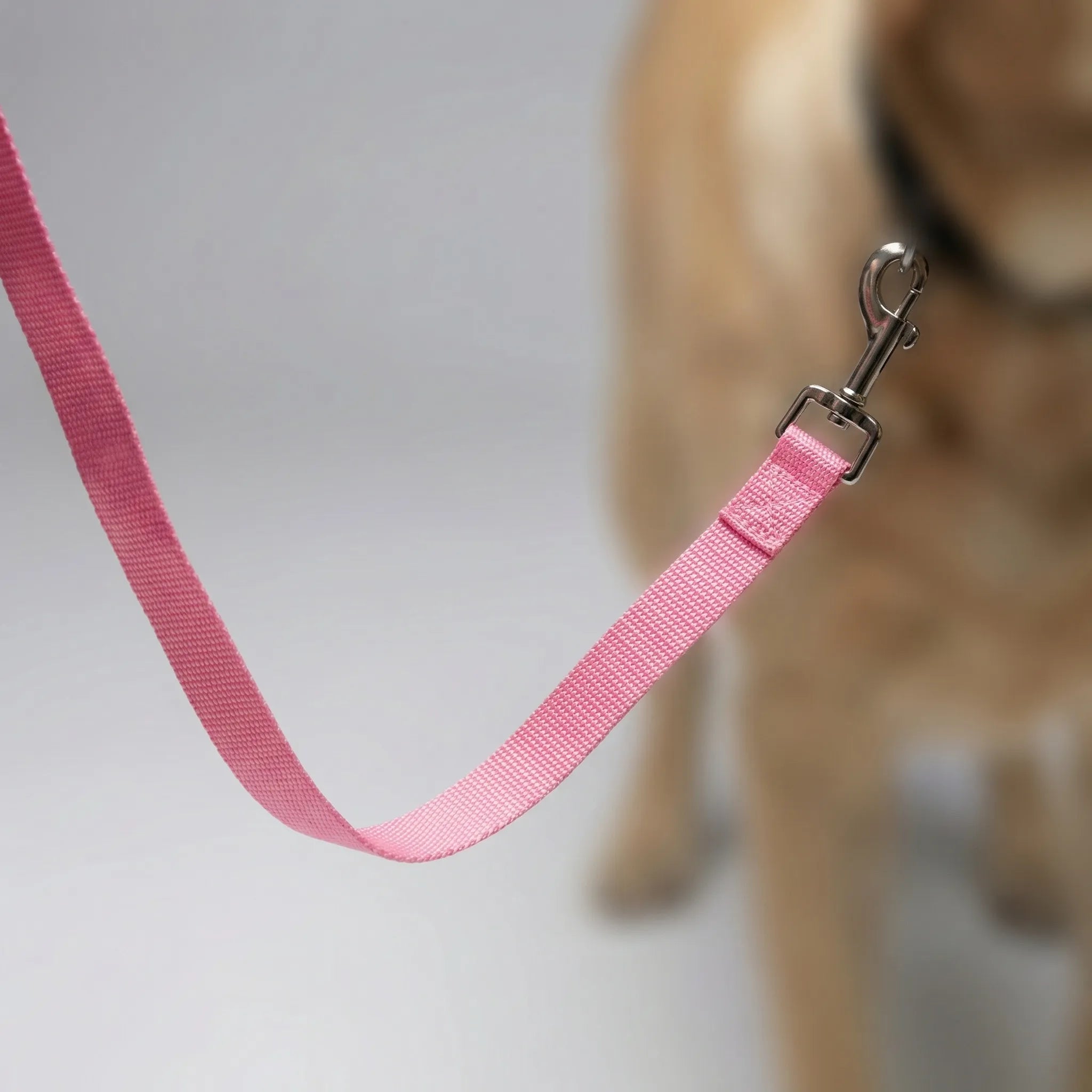 TrainPro Long Dog Training Lead with Adjustable Length Options