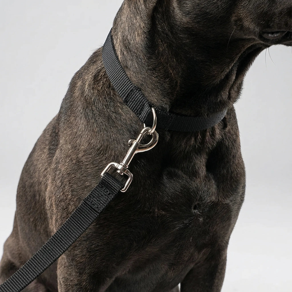 TrainPro Long Dog Training Lead with Adjustable Length Options