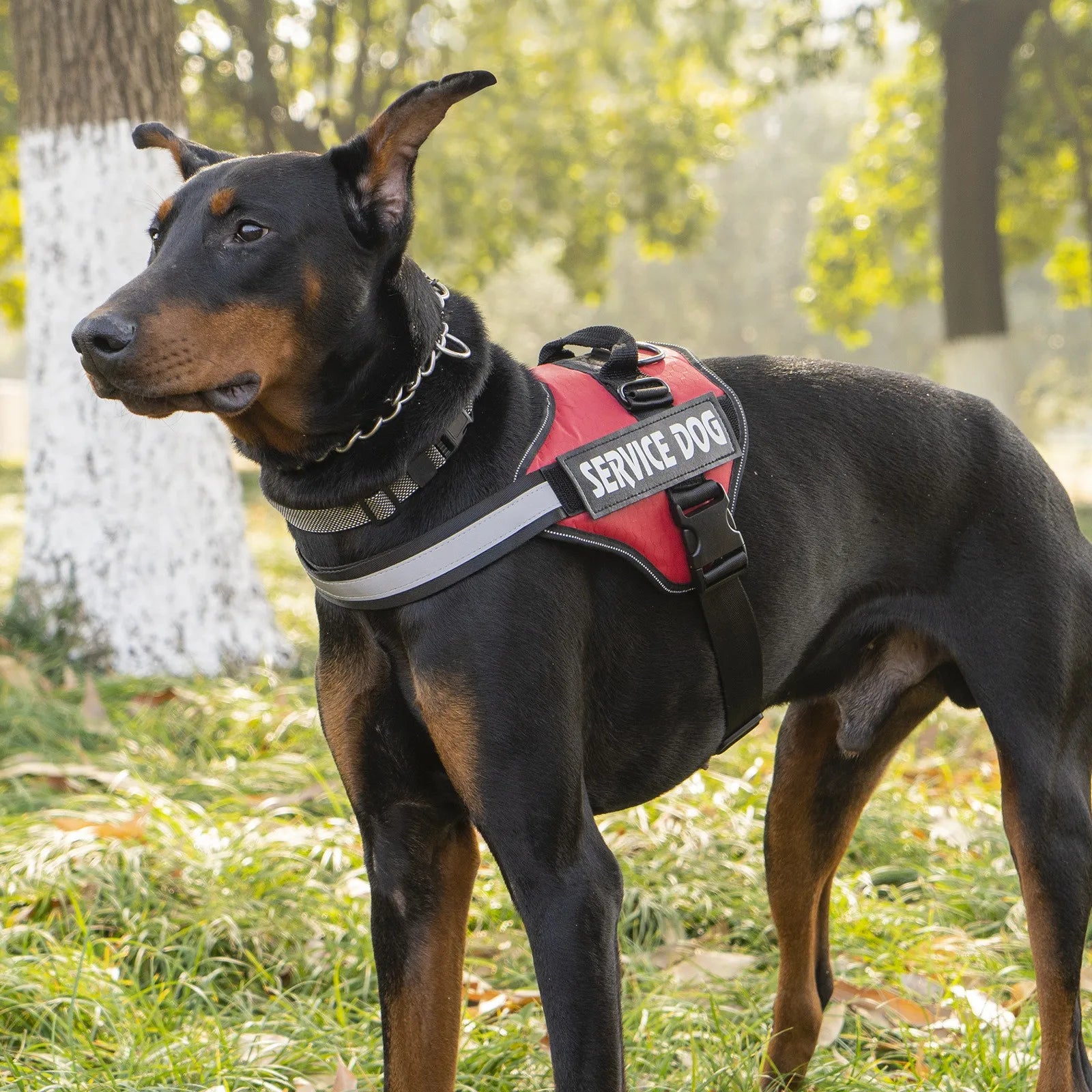 TacticalFit Dog Harness with Reflective Strips & Velcro Patches