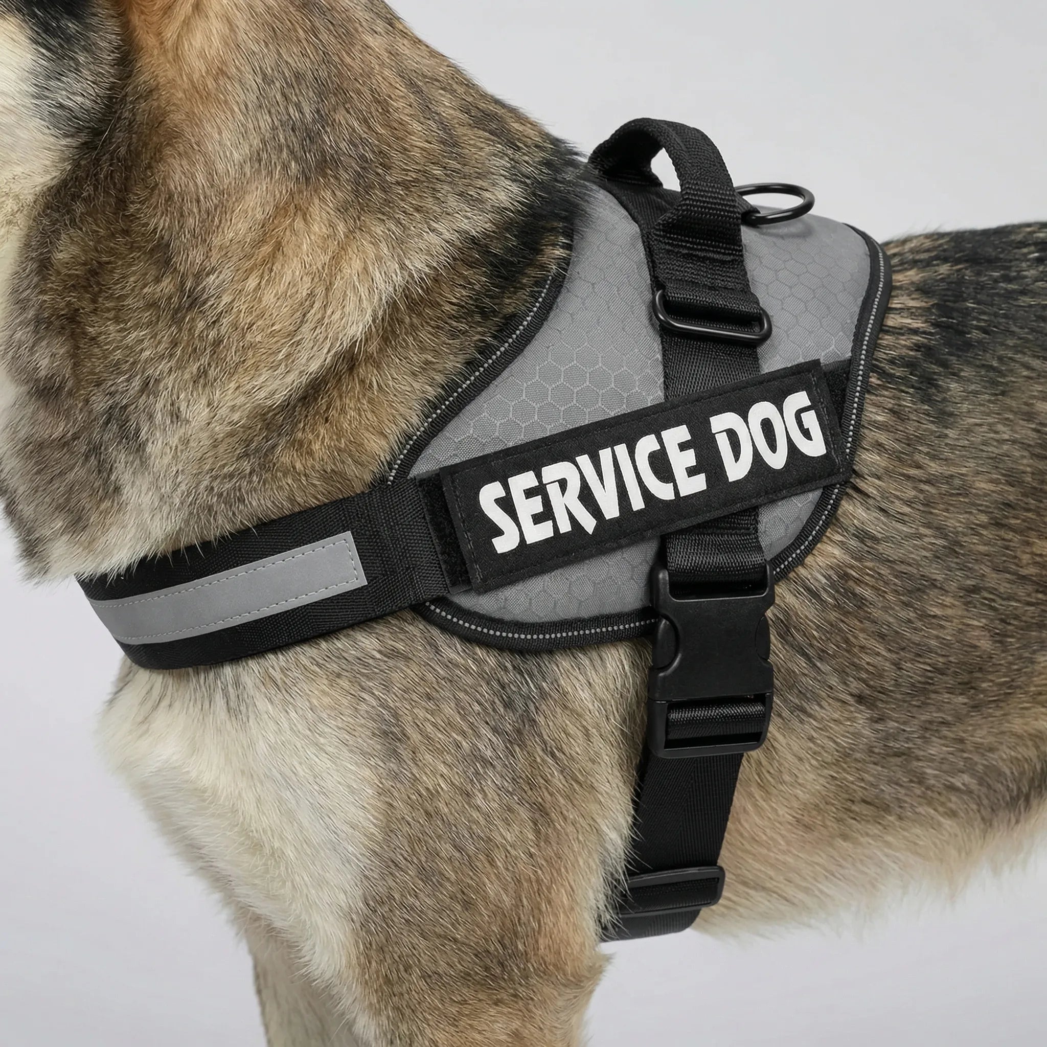 TacticalFit Dog Harness with Reflective Strips & Velcro Patches