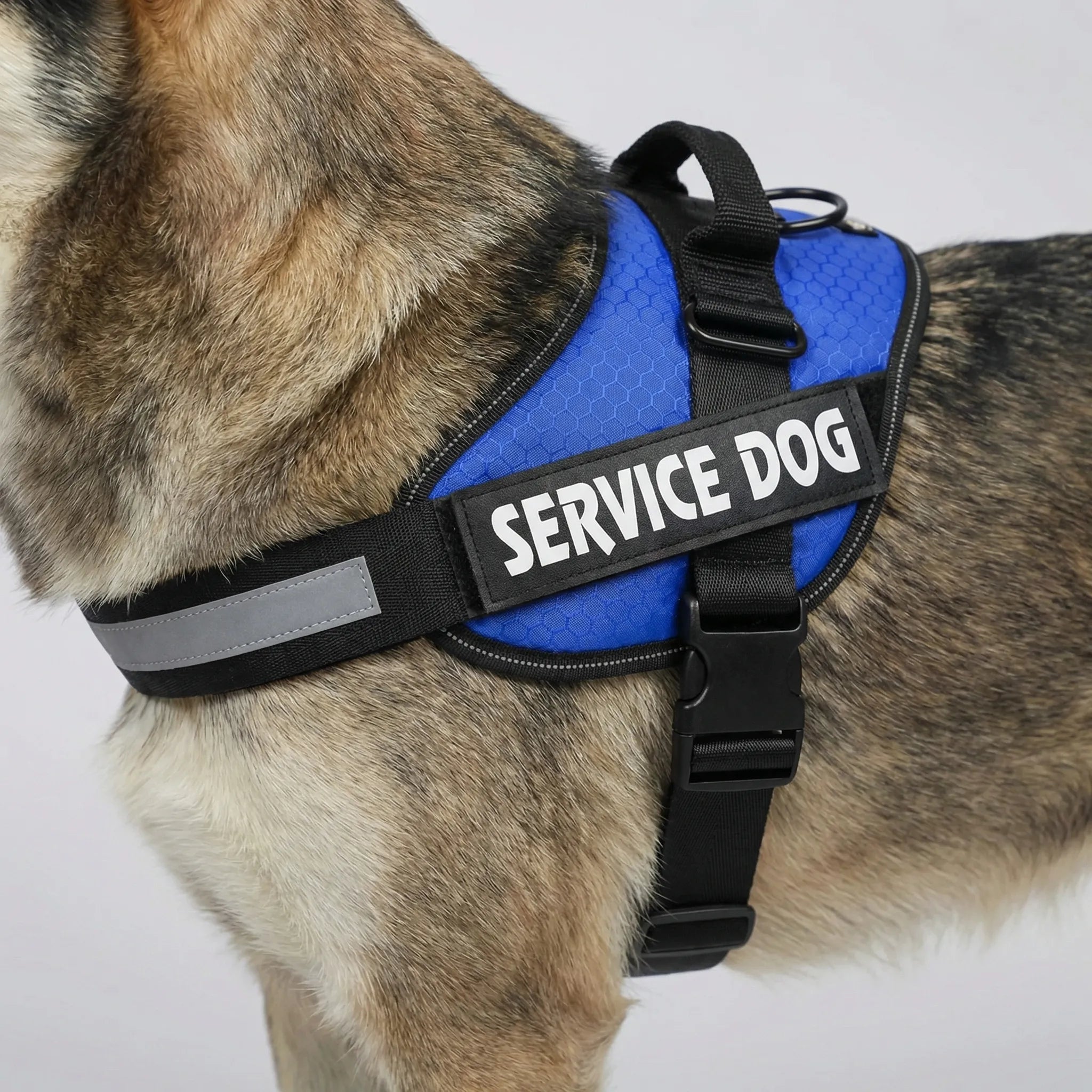 TacticalFit Dog Harness with Reflective Strips & Velcro Patches