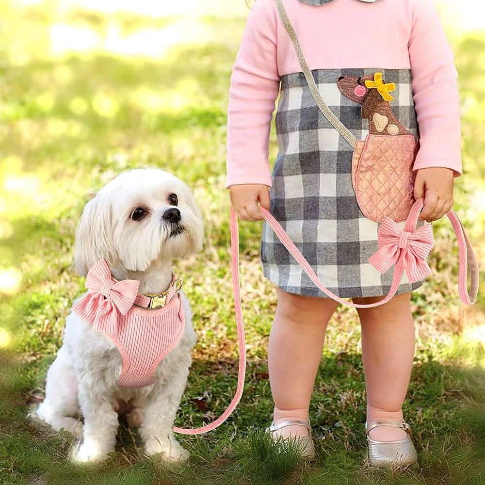 CharmSet 3-Piece Dog Harness Collar and Lead Set with Bow