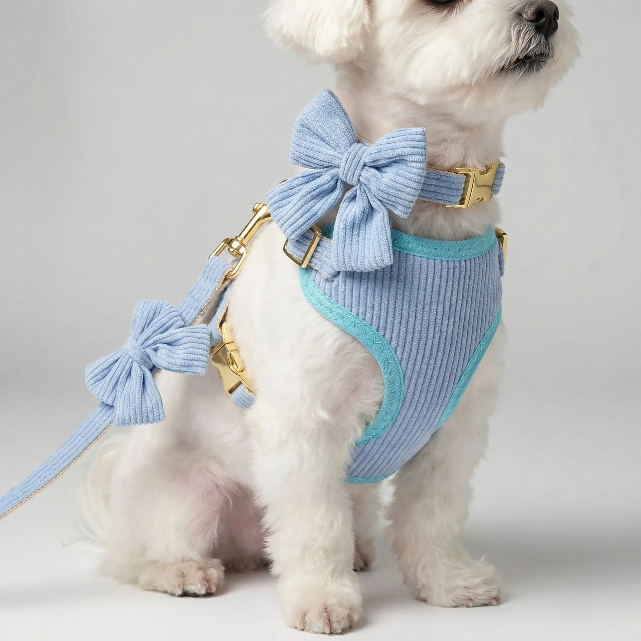 CharmSet 3-Piece Dog Harness Collar and Lead Set with Bow