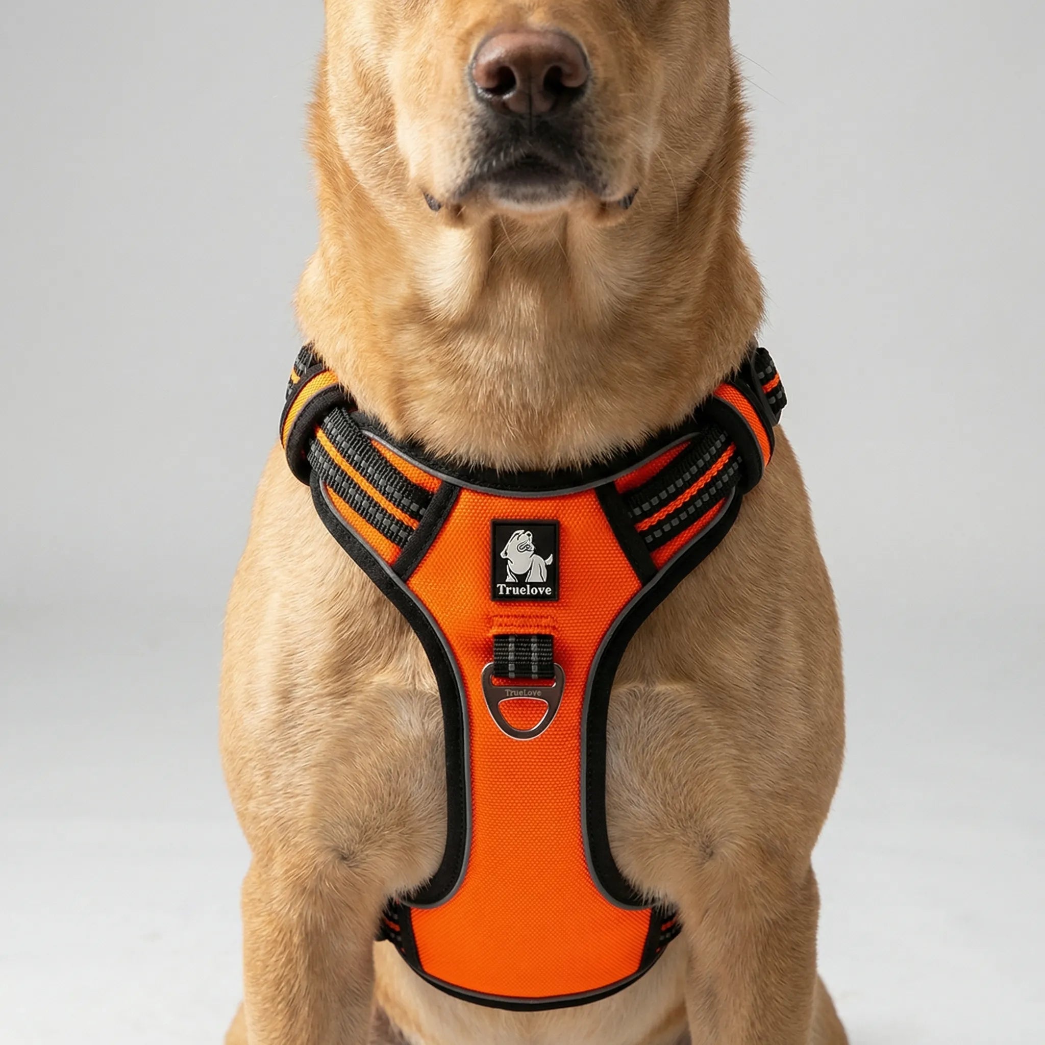 ActiveControl No-Pull Dog Harness with Reflective Strips