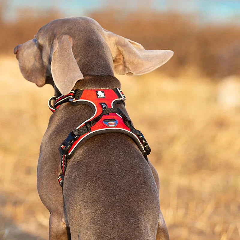 ActiveControl No-Pull Dog Harness with Reflective Strips
