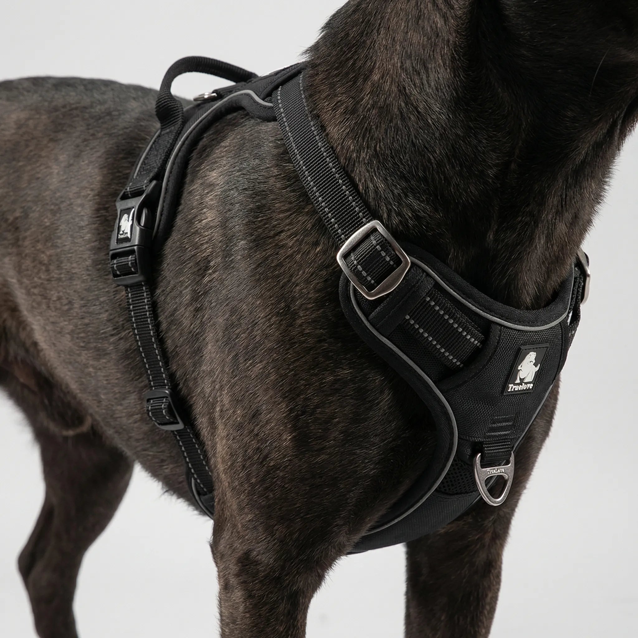 ActiveControl No-Pull Dog Harness with Reflective Strips