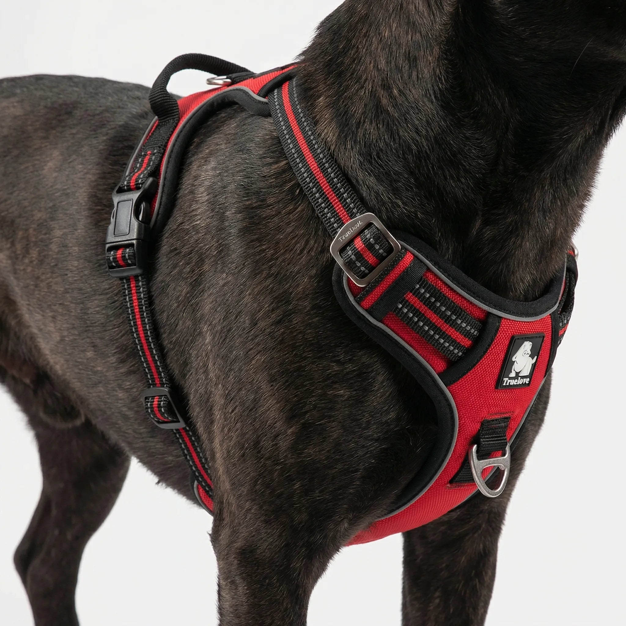 ActiveControl No-Pull Dog Harness with Reflective Strips