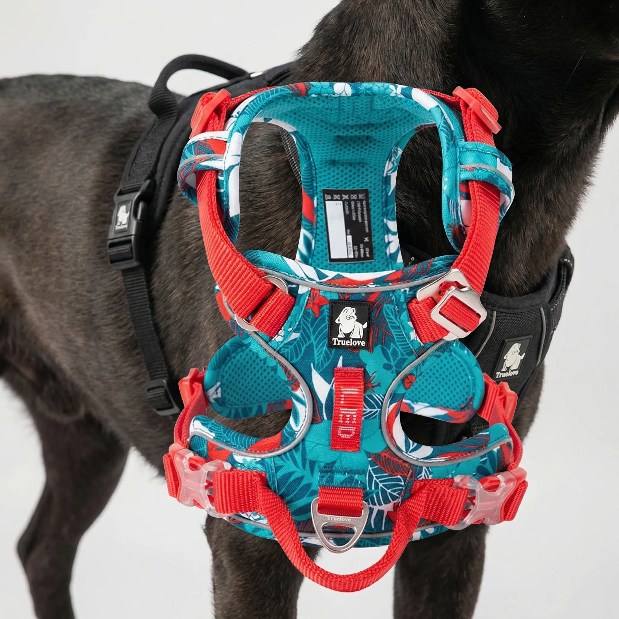 ActiveControl No-Pull Dog Harness with Reflective Strips