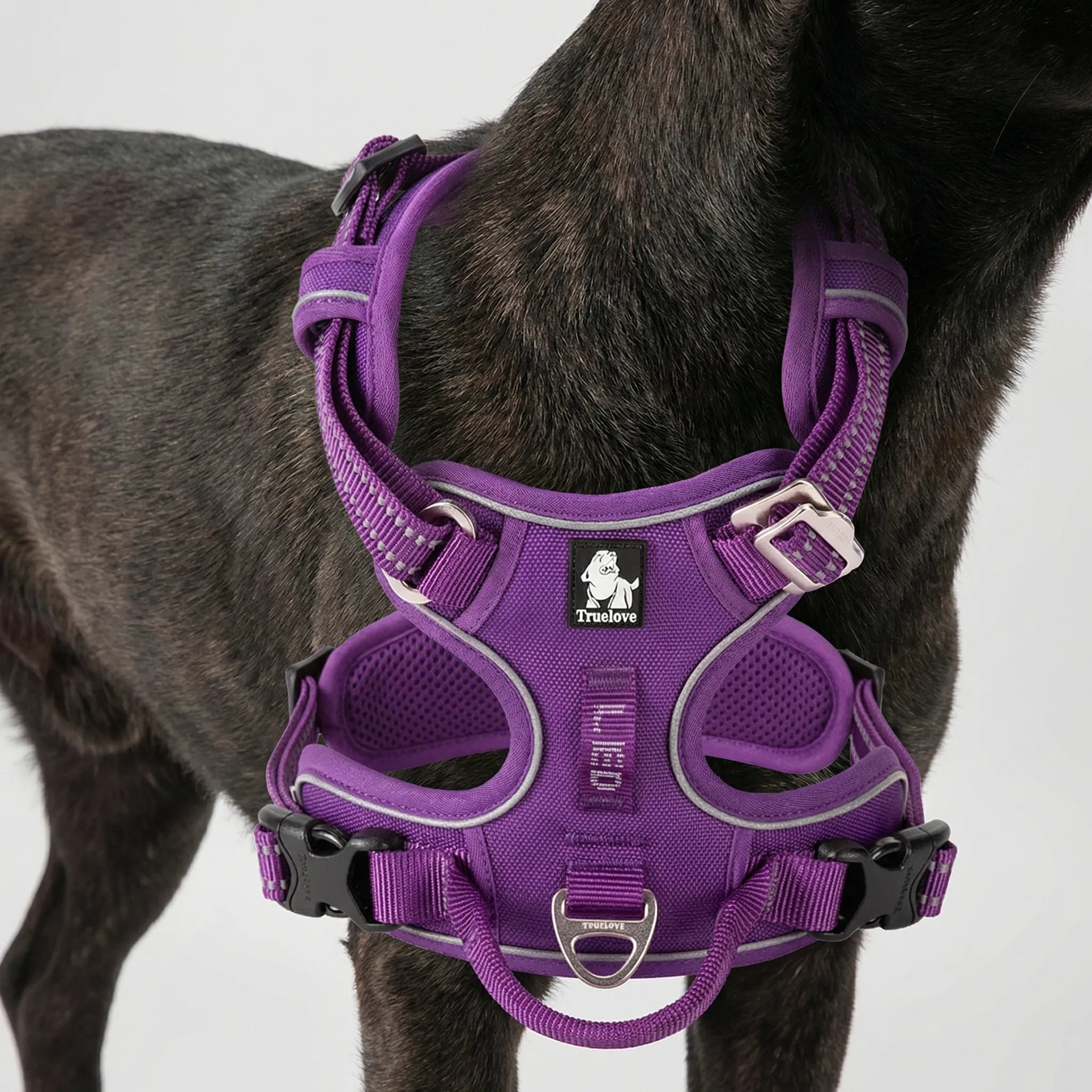 ActiveControl No-Pull Dog Harness with Reflective Strips