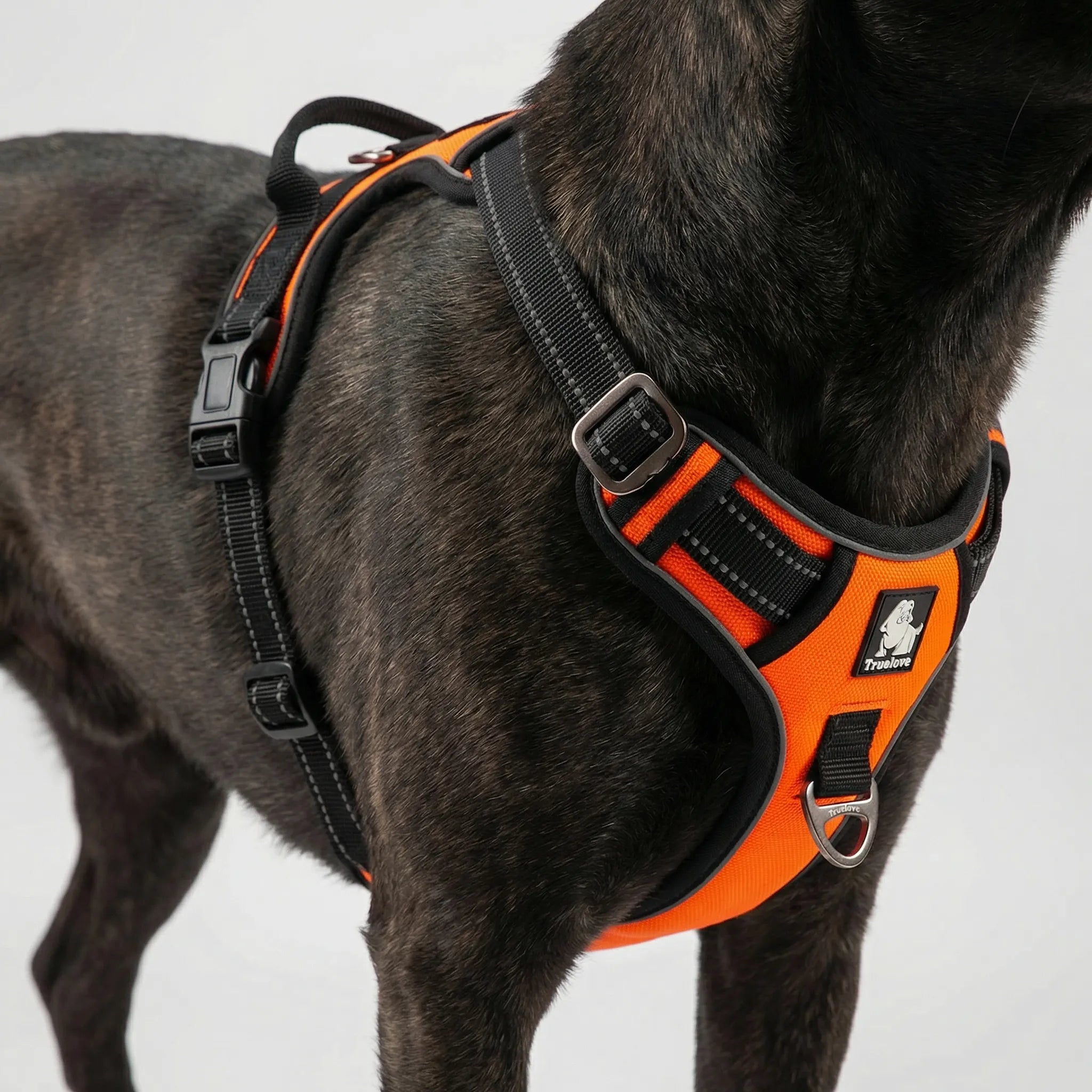 ActiveControl No-Pull Dog Harness with Reflective Strips