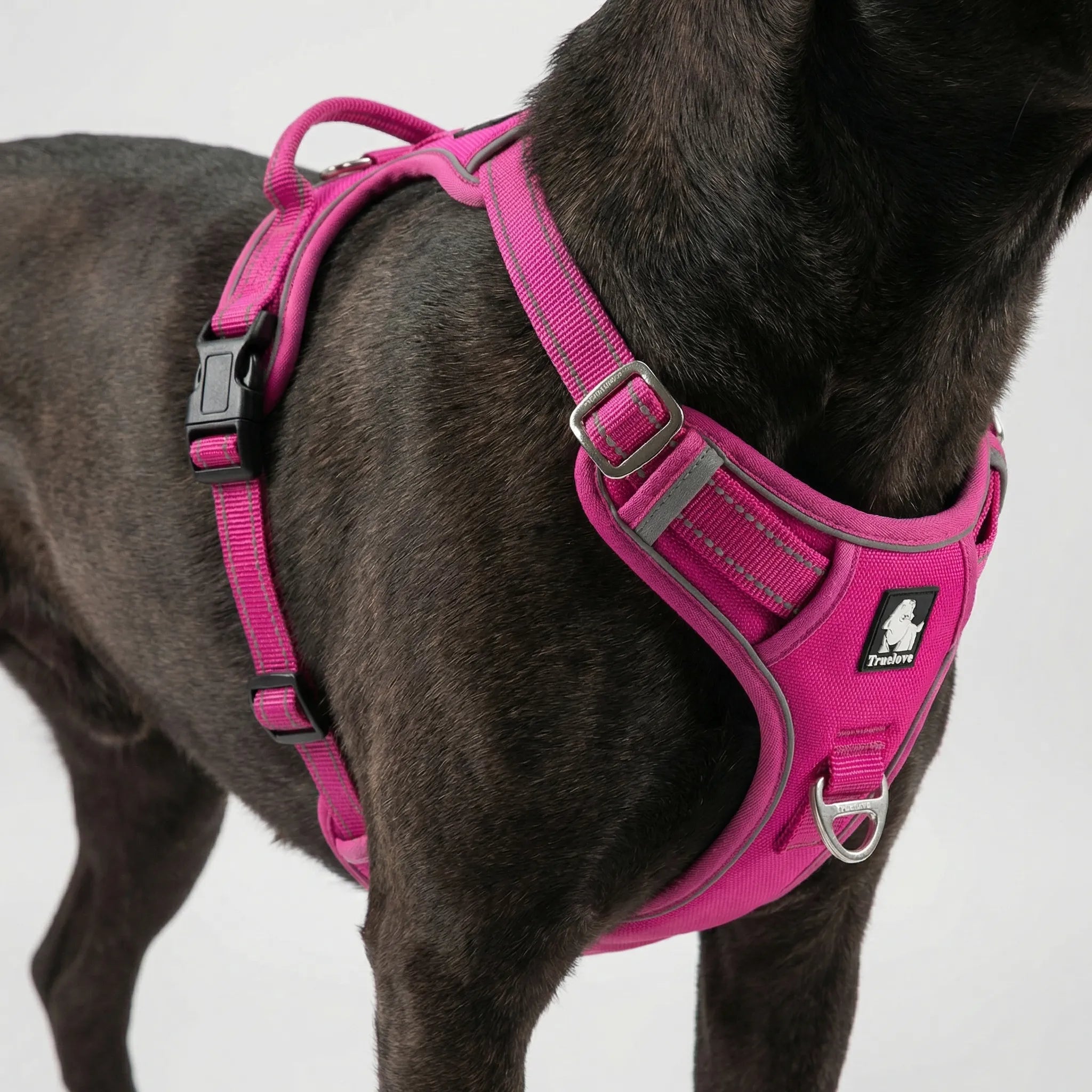 ActiveControl No-Pull Dog Harness with Reflective Strips