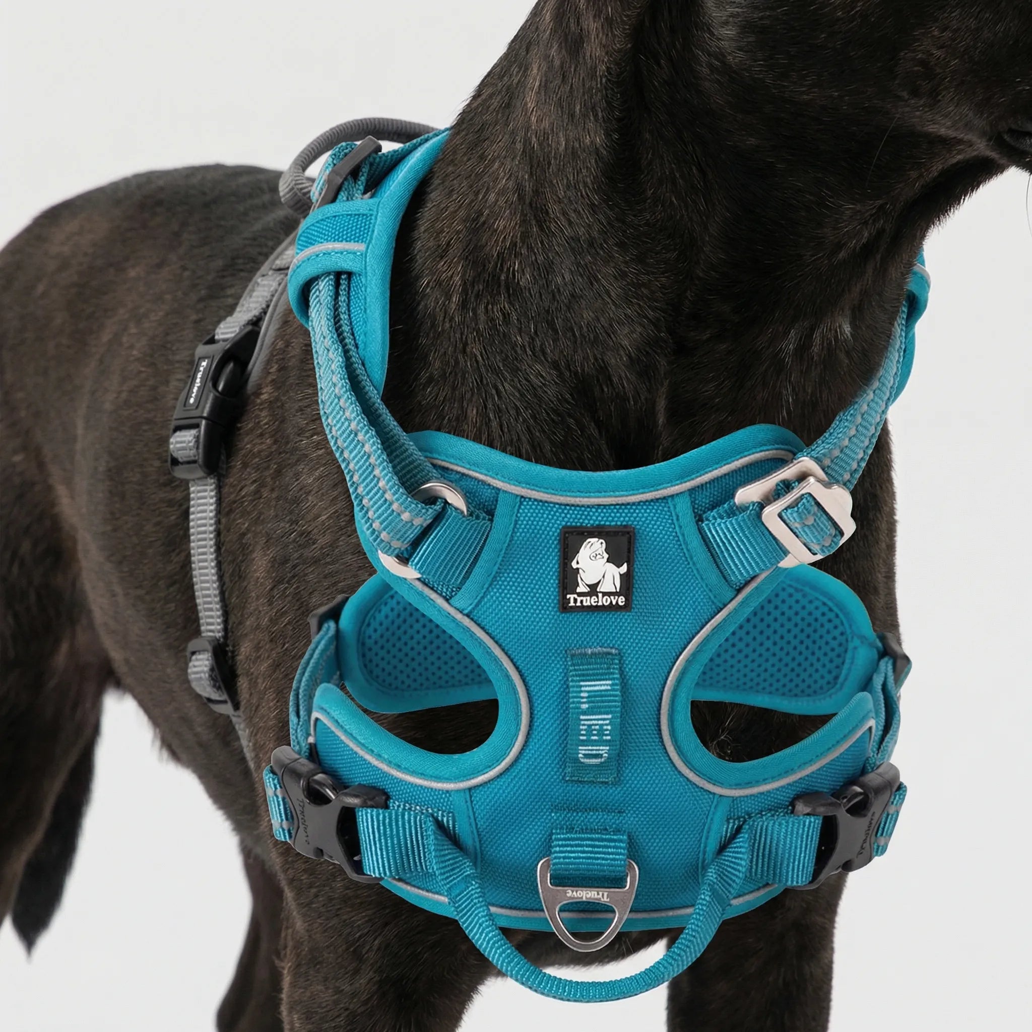 ActiveControl No-Pull Dog Harness with Reflective Strips