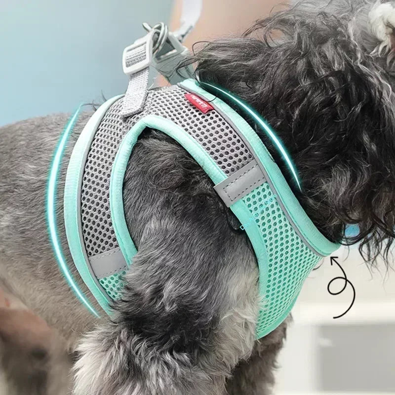 PetFlex Breathable Mesh Harness and Lead Set for Small Dogs & Cats