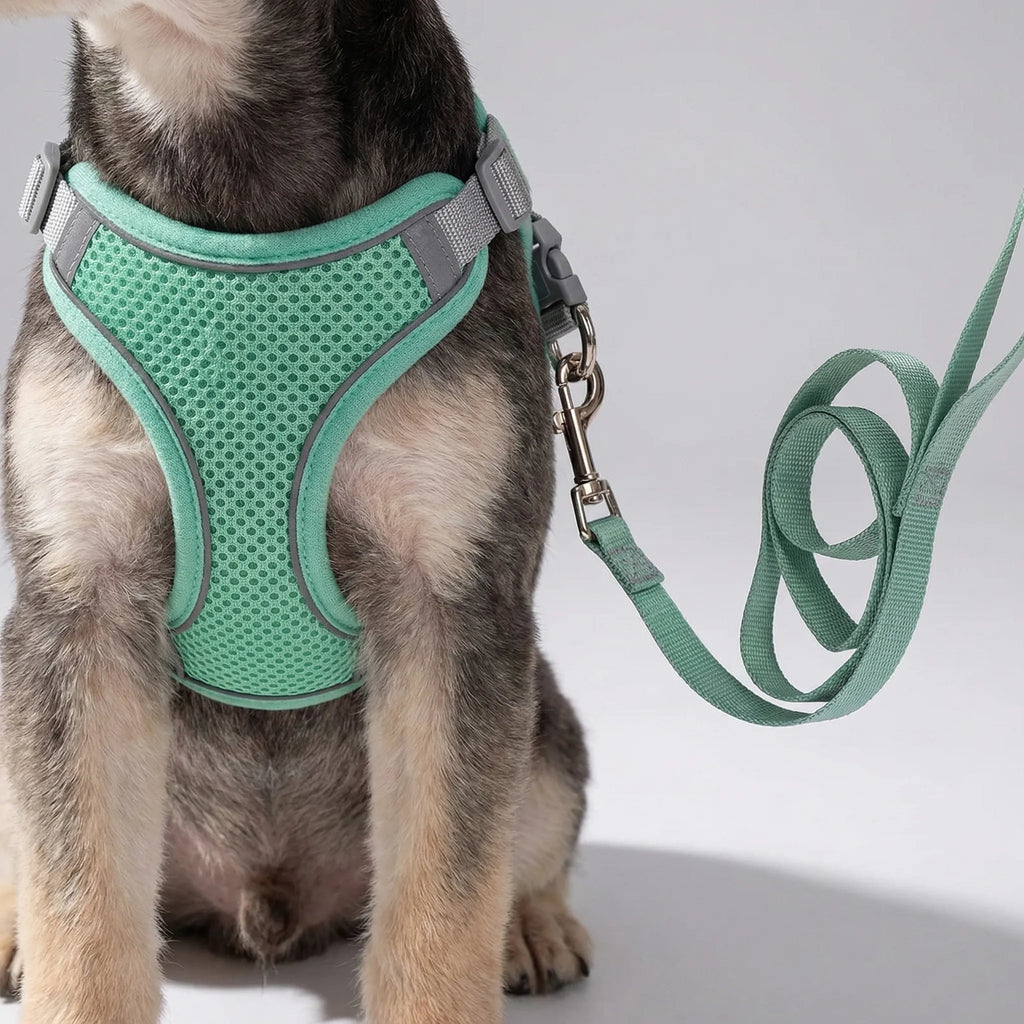 PetFlex Breathable Mesh Harness and Lead Set for Small Dogs & Cats