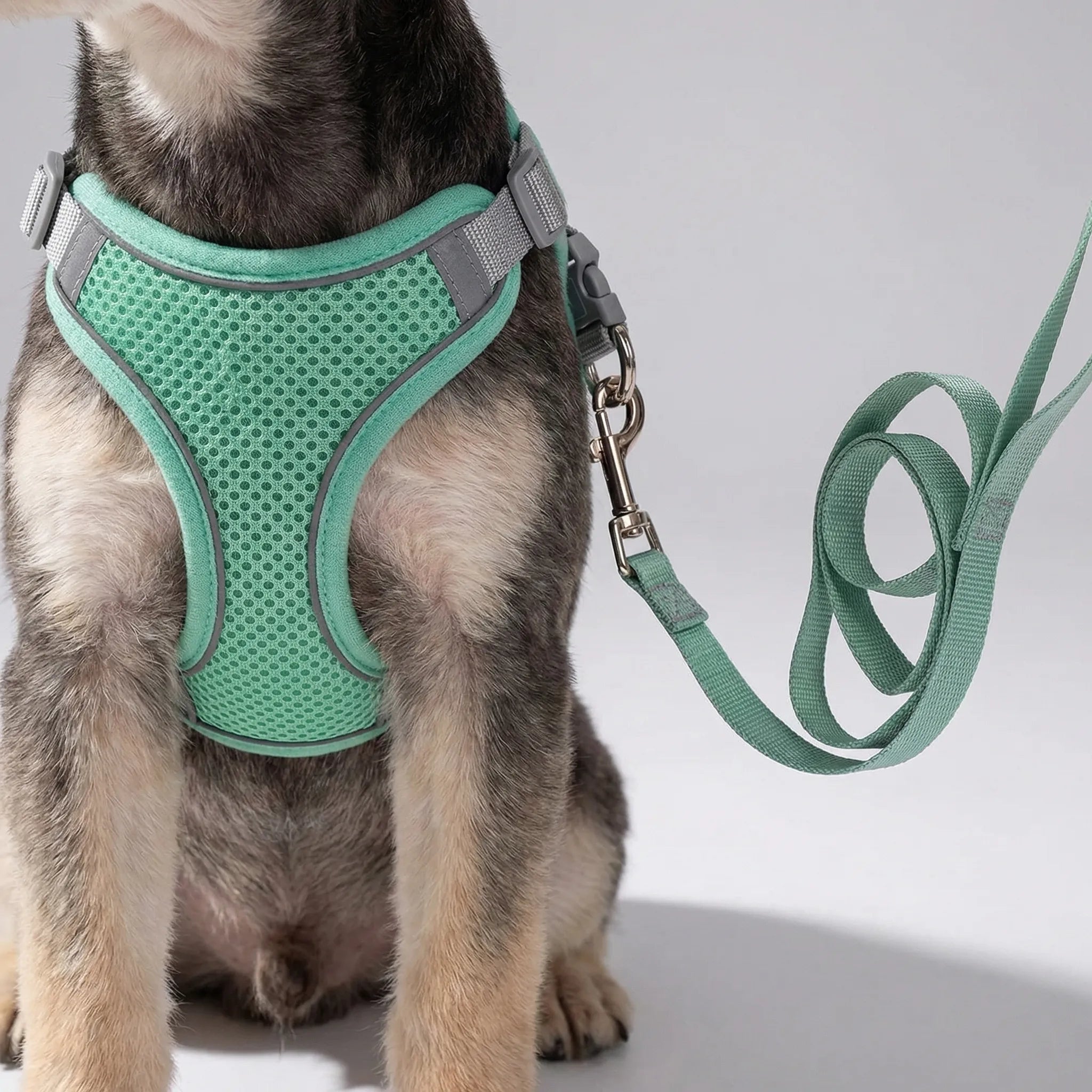 PetFlex Breathable Mesh Harness and Lead Set for Small Dogs & Cats