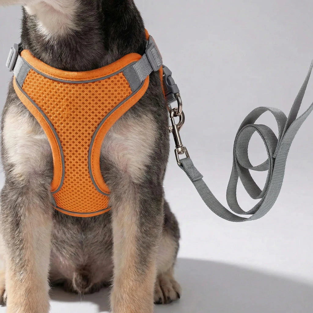 PetFlex Breathable Mesh Harness and Lead Set for Small Dogs & Cats