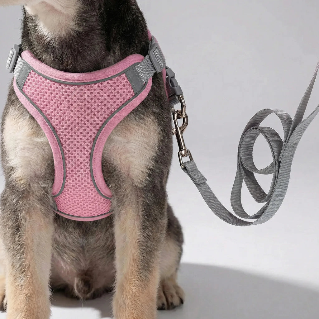 PetFlex Breathable Mesh Harness and Lead Set for Small Dogs & Cats