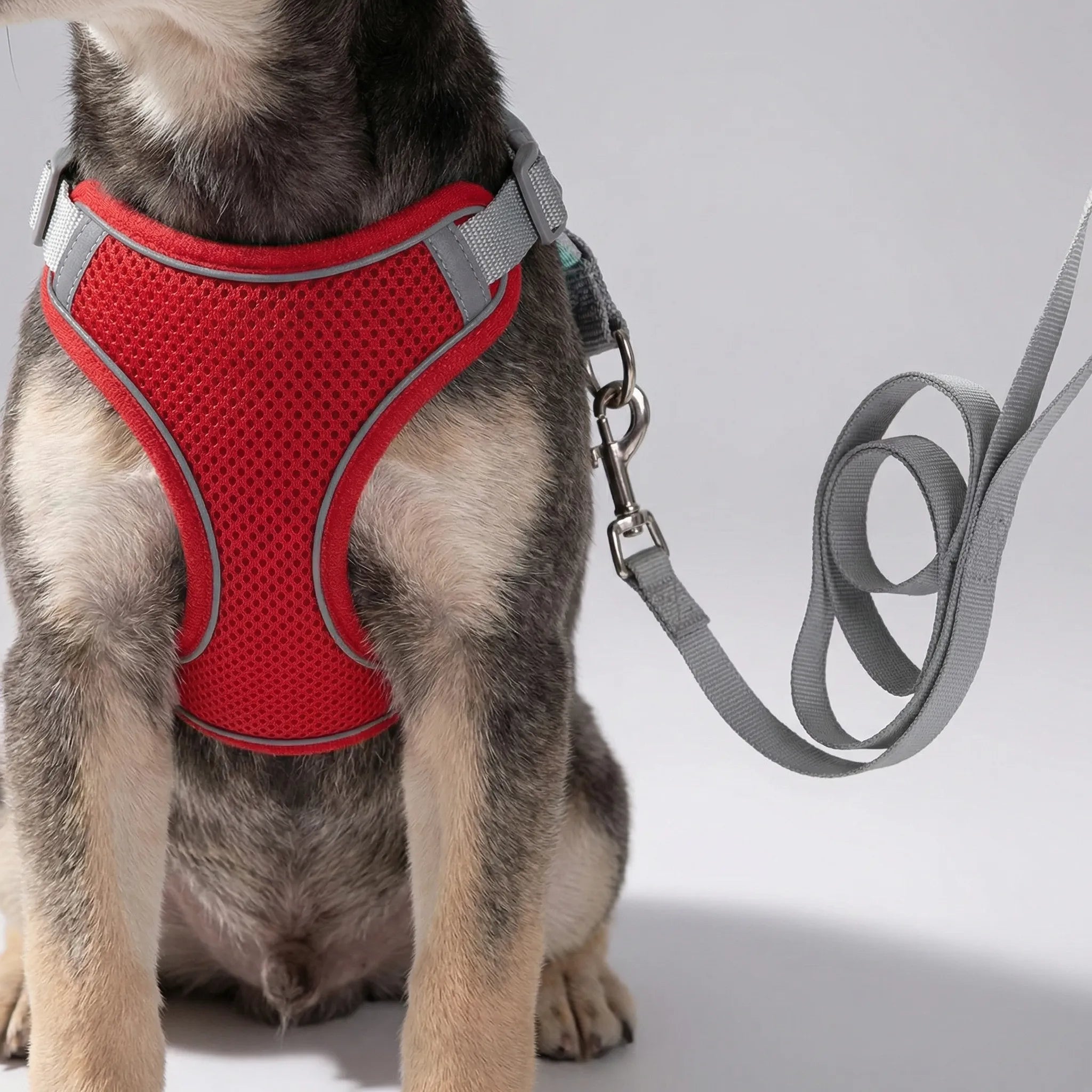 PetFlex Breathable Mesh Harness and Lead Set for Small Dogs & Cats