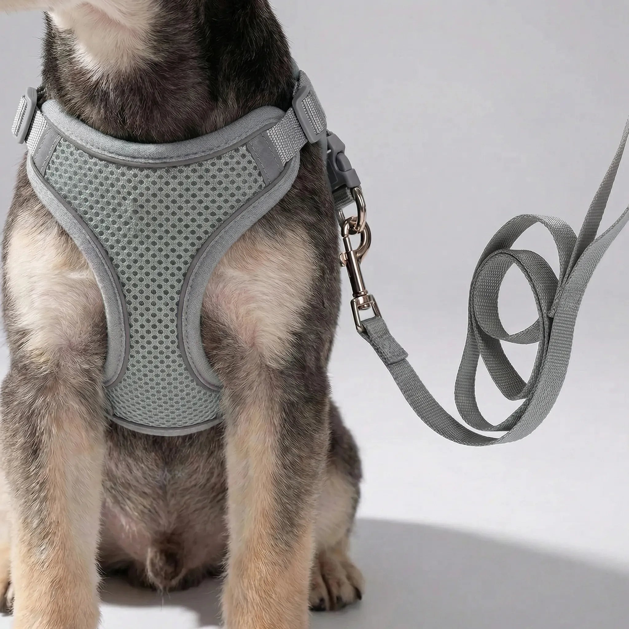 PetFlex Breathable Mesh Harness and Lead Set for Small Dogs & Cats