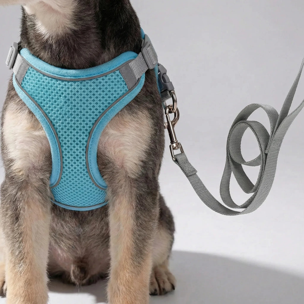 PetFlex Breathable Mesh Harness and Lead Set for Small Dogs & Cats
