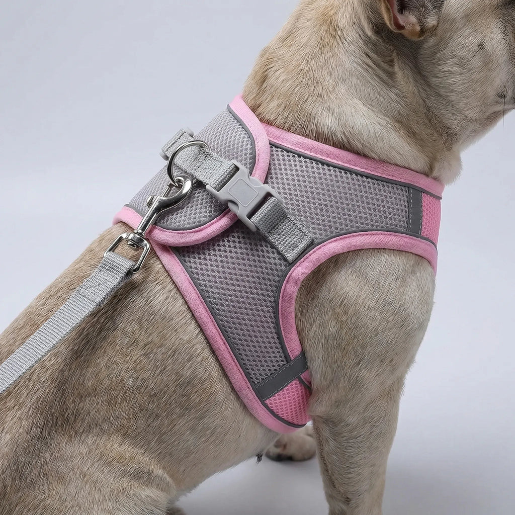 PetFlex Breathable Mesh Harness and Lead Set for Small Dogs & Cats