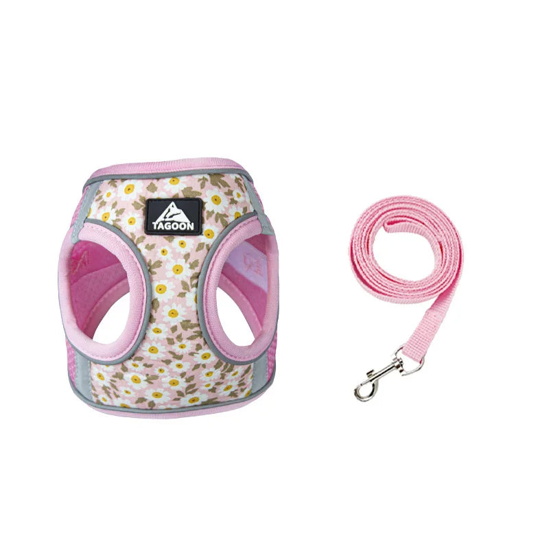 PetEase No-Pull Harness Set for Small Dogs & Kittens