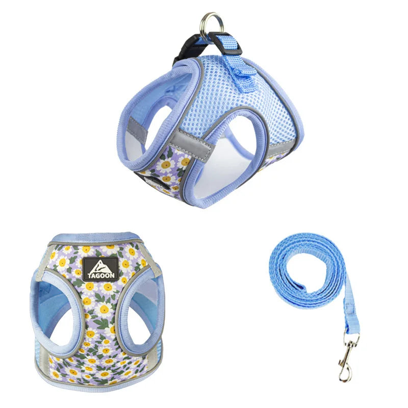 PetEase No-Pull Harness Set for Small Dogs & Kittens