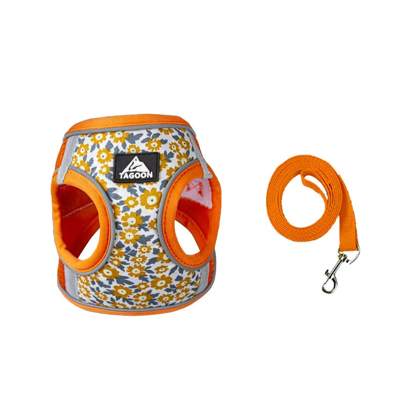 PetEase No-Pull Harness Set for Small Dogs & Kittens