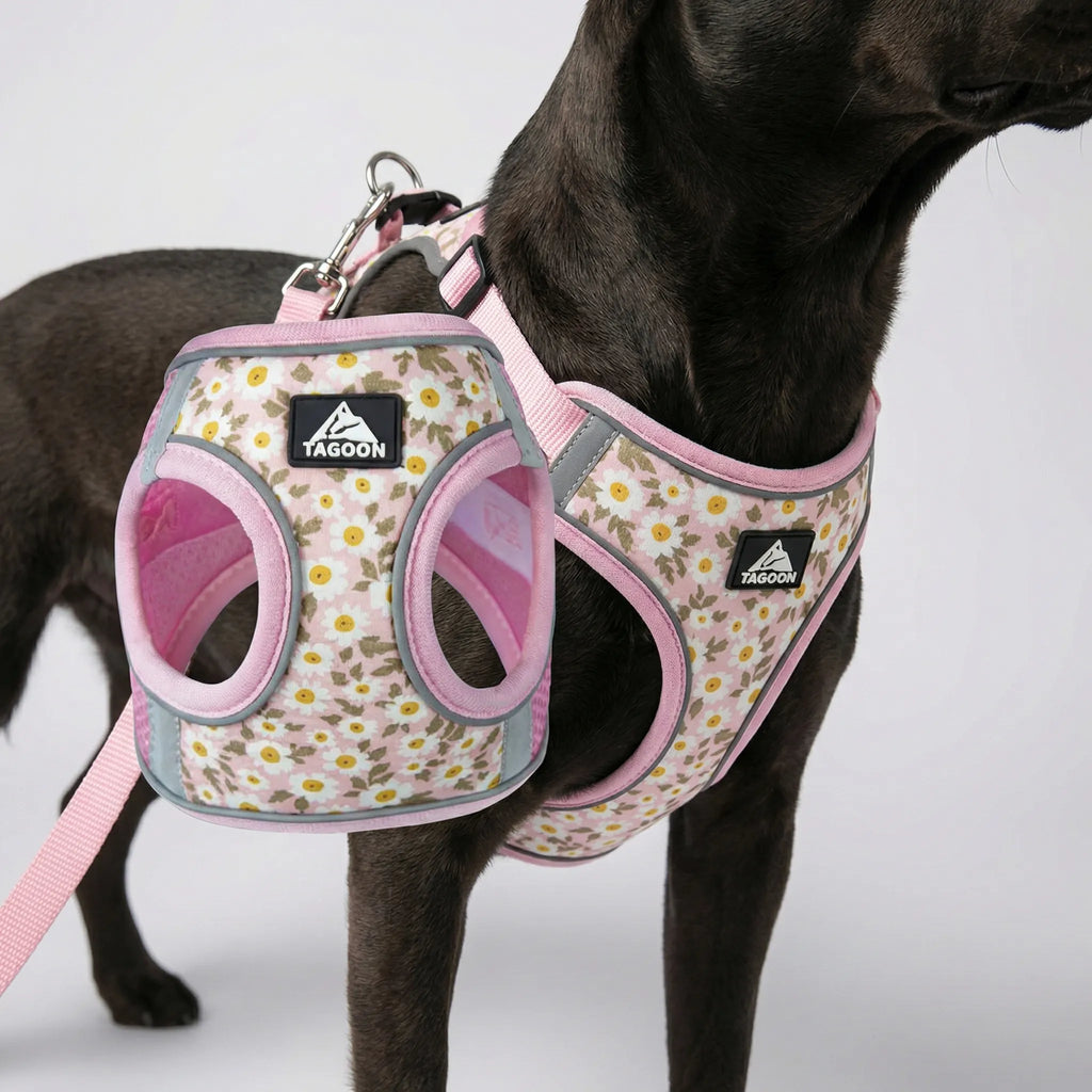 PetEase No-Pull Harness Set for Small Dogs & Kittens