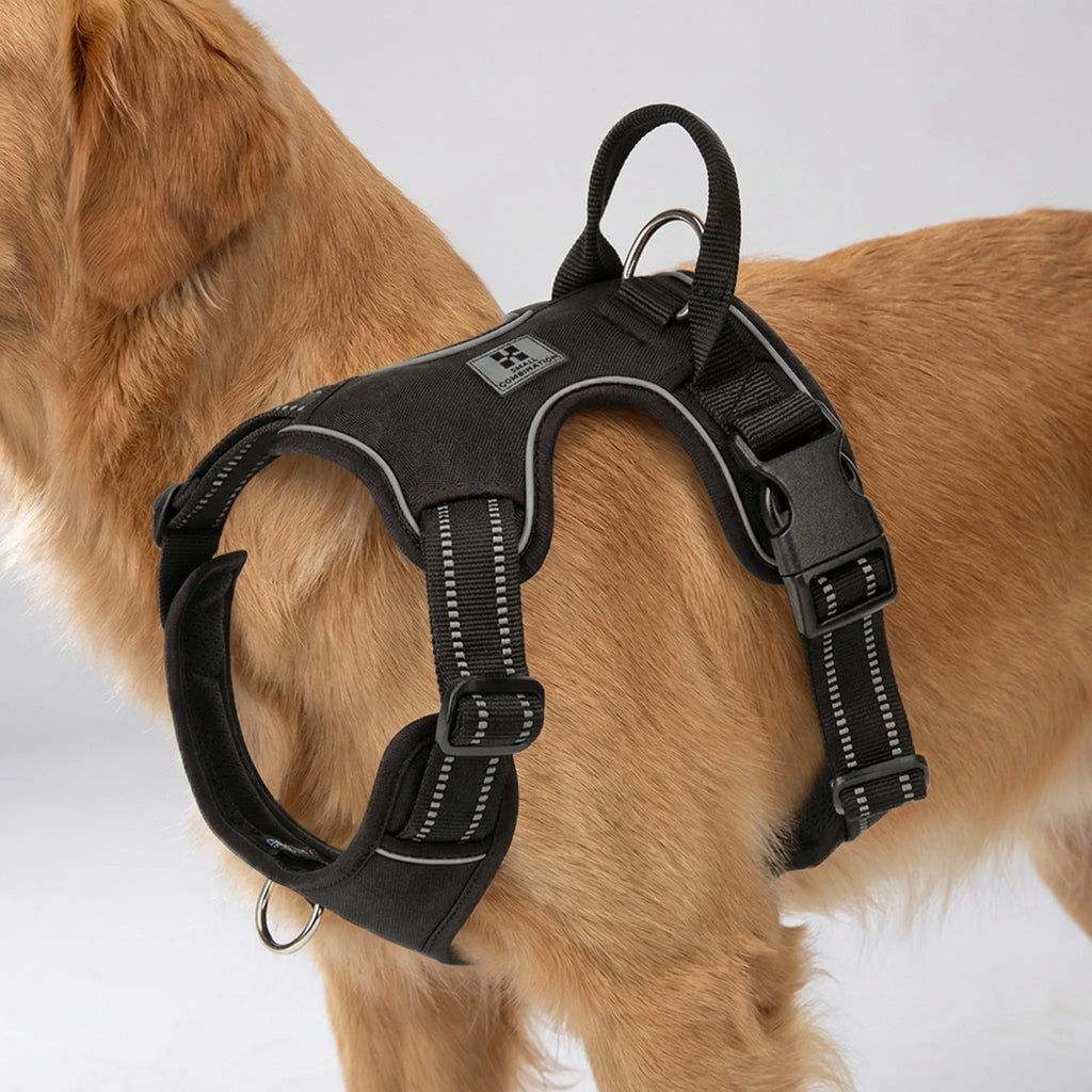 NoPull Comfort Dog Harness with Front Clip and Reflective Strips