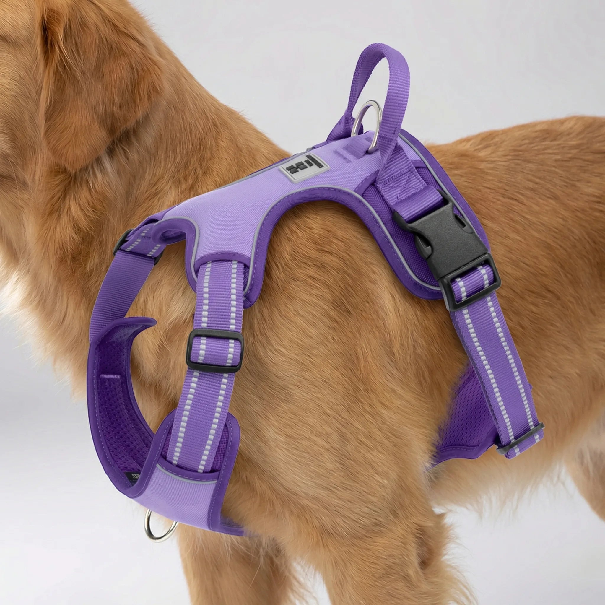 NoPull Comfort Dog Harness with Front Clip and Reflective Strips