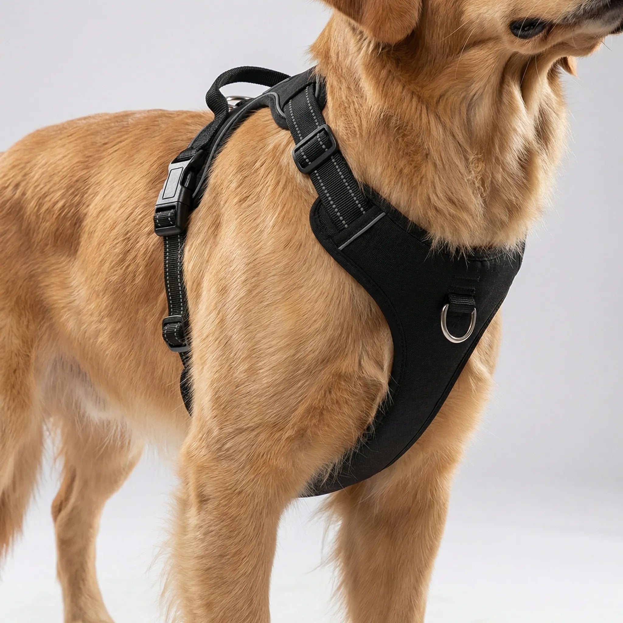 NoPull Comfort Dog Harness with Front Clip and Reflective Strips