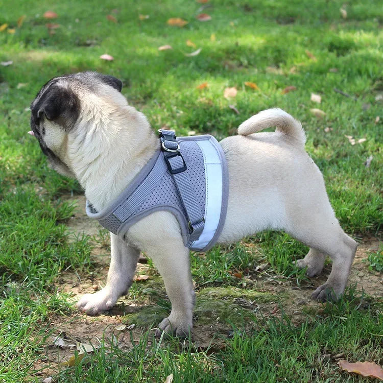 AirMesh Reflective Pet Harness and Lead Set for Small Dogs and Cats