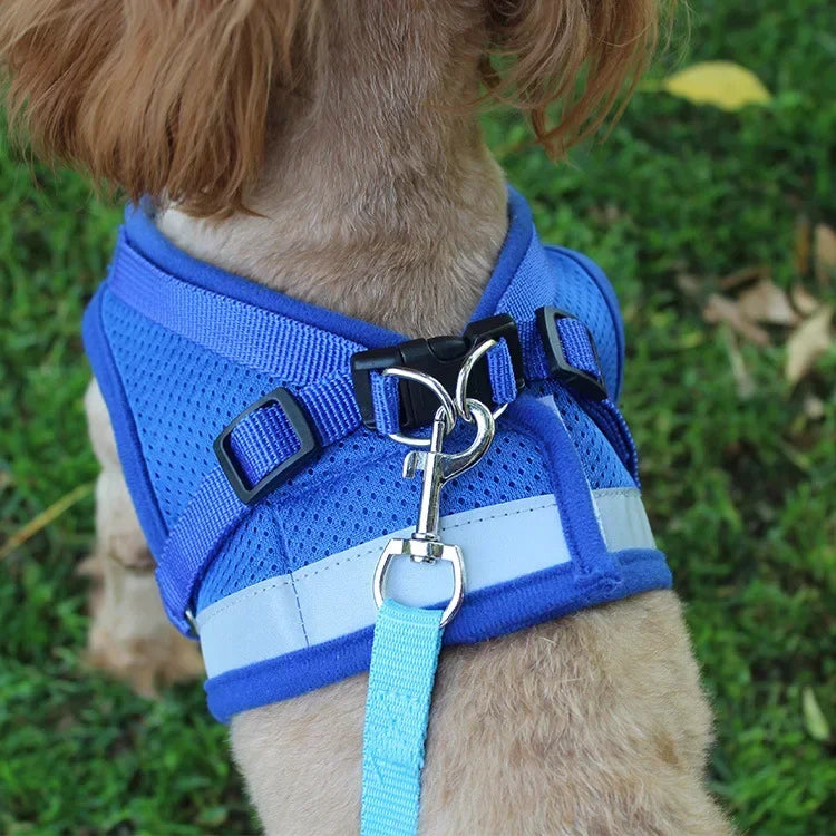 AirMesh Reflective Pet Harness and Lead Set for Small Dogs and Cats