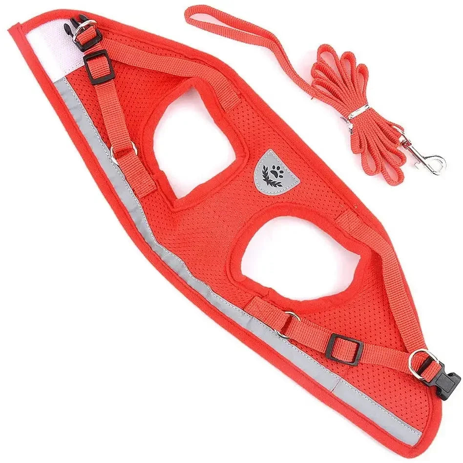 AirMesh Reflective Pet Harness and Lead Set for Small Dogs and Cats