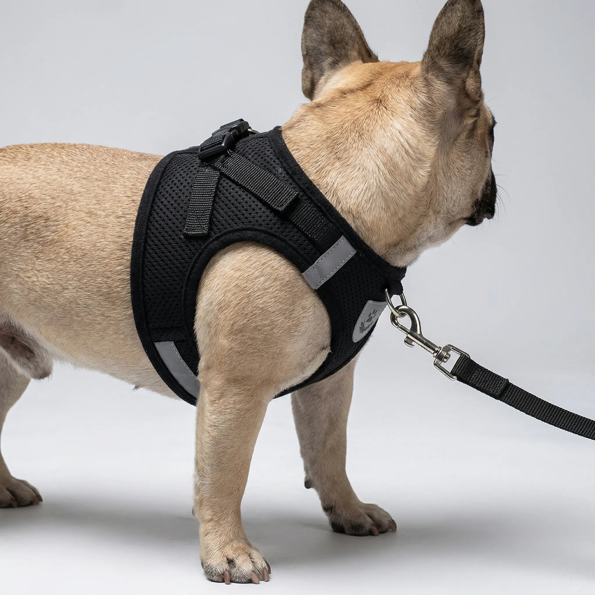 AirMesh Reflective Pet Harness and Lead Set for Small Dogs and Cats
