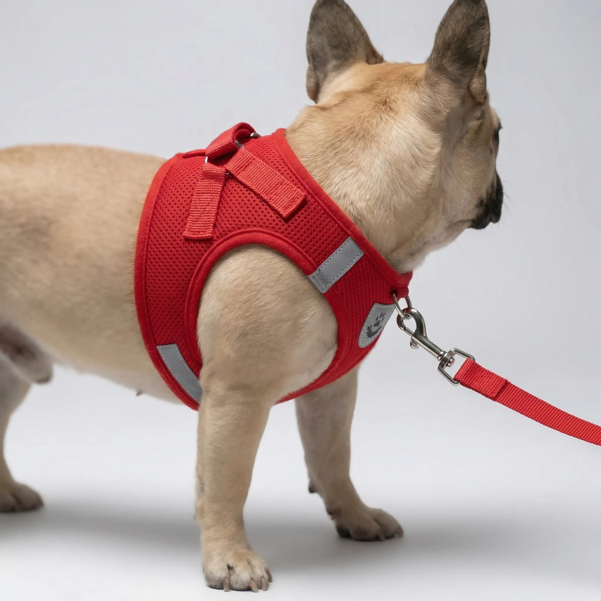 AirMesh Reflective Pet Harness and Lead Set for Small Dogs and Cats