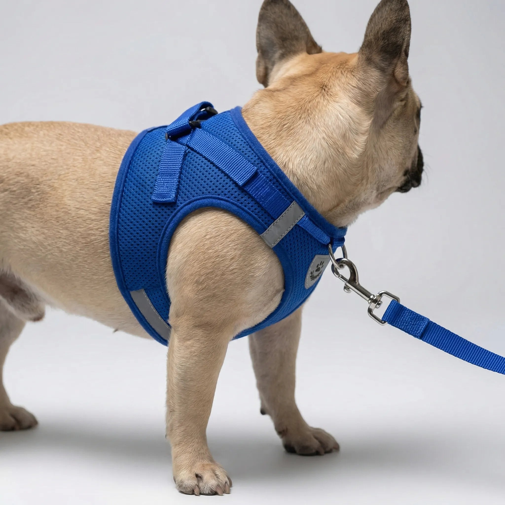 AirMesh Reflective Pet Harness and Lead Set for Small Dogs and Cats