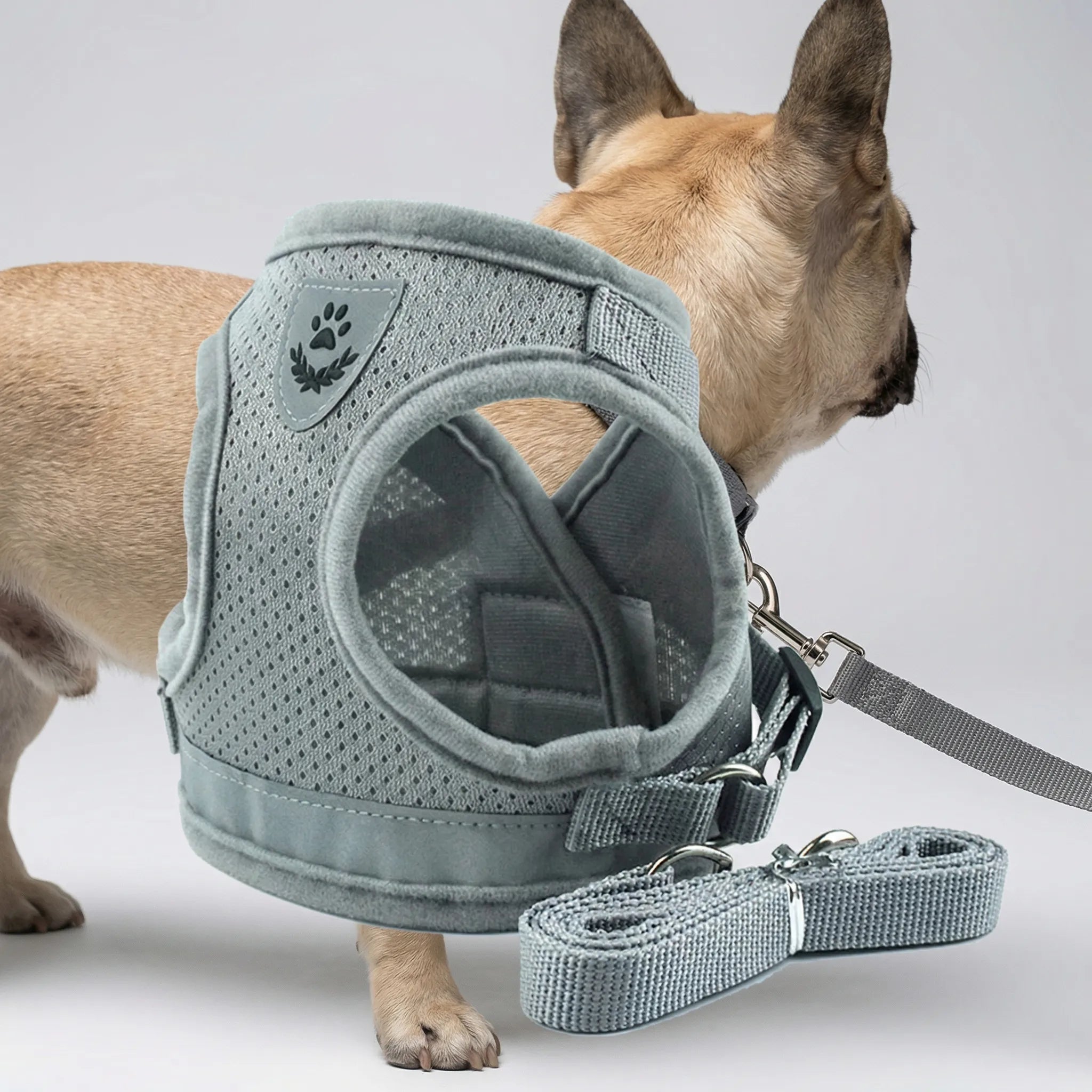 AirMesh Reflective Pet Harness and Lead Set for Small Dogs and Cats