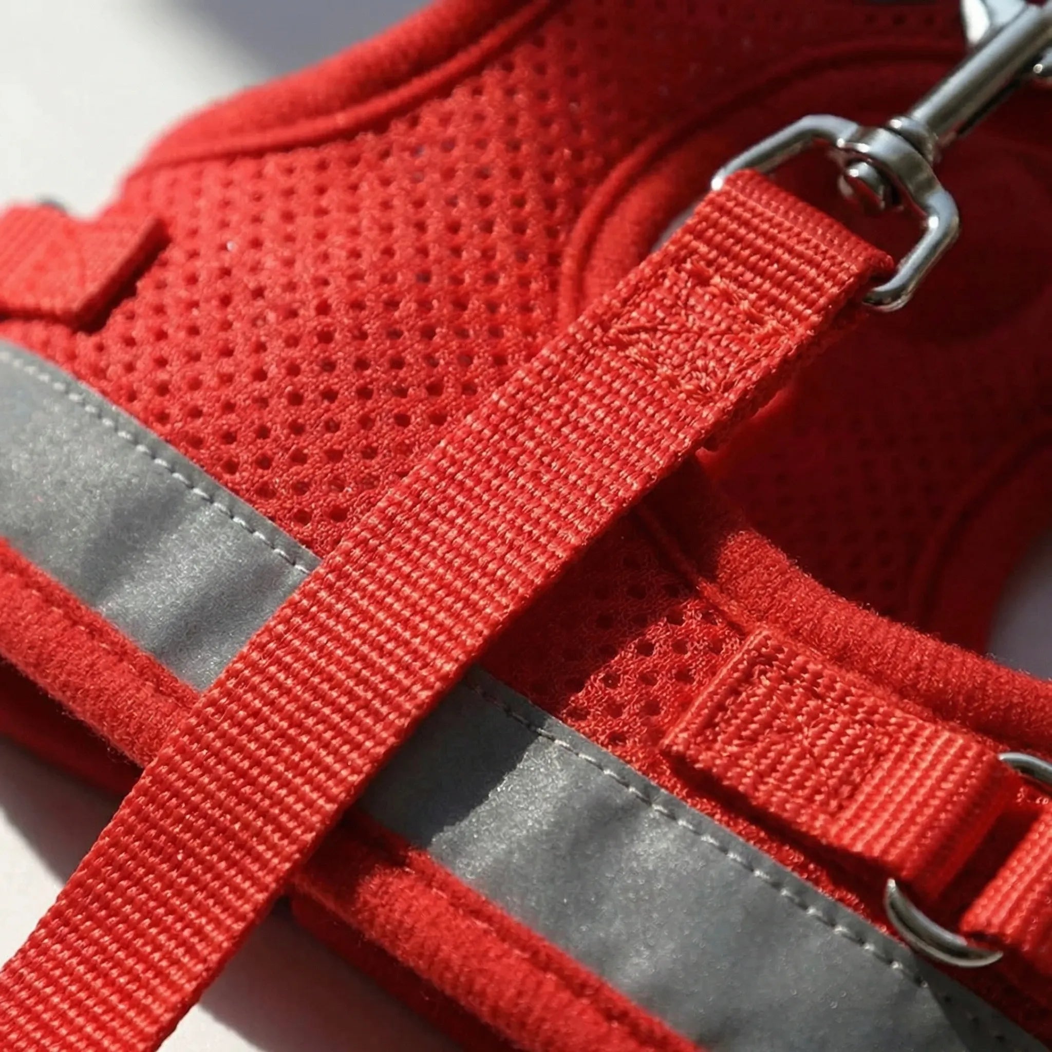 AirMesh Reflective Pet Harness and Lead Set for Small Dogs and Cats