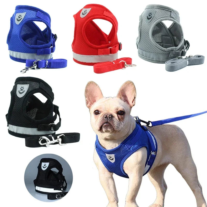 AirMesh Reflective Pet Harness and Lead Set for Small Dogs and Cats